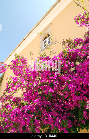 Monastère Paleokastritsa, également connu sous le nom de Monastère Théotokos, île grecque de Corfou Banque D'Images