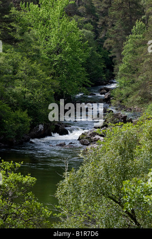 River Farrar. Glen Strathfarrar, Highlands, Scotland Banque D'Images