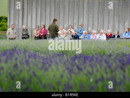 Snowshill Lavender Farm : visiteurs bénéficiant d'une visite guidée de la distillerie et champs de lavande. Photo par Jim Holden. Banque D'Images