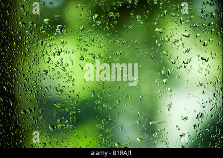 Gouttes de pluie sur une fenêtre en face d'un bois vert résumé. L'Ecosse Banque D'Images