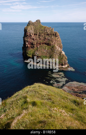 Duncansby Stacks de près de John o Groats Écosse Caithness Banque D'Images