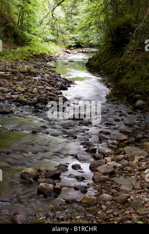 Rivière qui coule à travers les bois de Cawdor, Nairnshire, Ecosse Banque D'Images