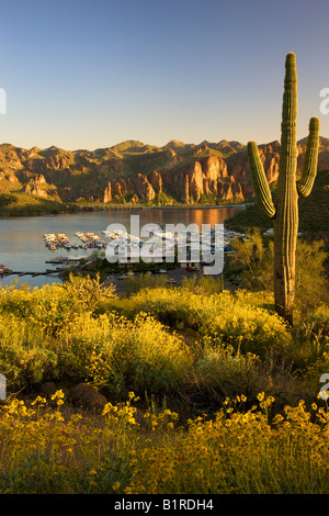 Saguaro Lake dans la forêt nationale de Tonto Hills près de la fontaine à l'extérieur de Phoenix Arizona Banque D'Images
