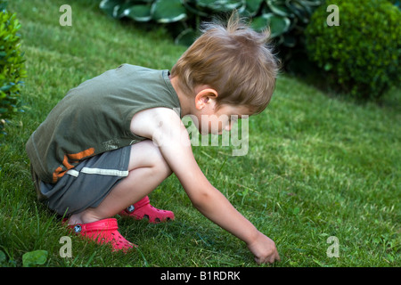 Garçon jouant dans le jardin cueillir de petites fleurs Banque D'Images