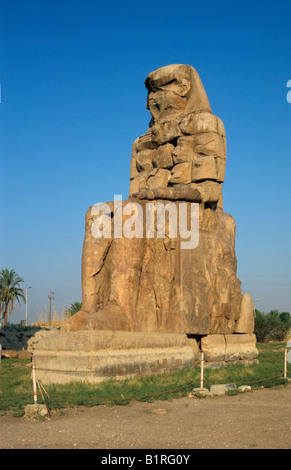 Colosses de Memnon, Luxor, Egypte, Afrique du Sud Banque D'Images