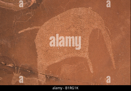 Roche de l'éléphant sculpté, de Petroglyph, Twyfelfontein, Damaraland, Namibie, Afrique Banque D'Images