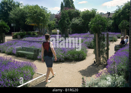 Une femme marche dans les champs Spa Park, Londres, celerkenwell Banque D'Images