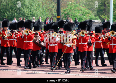 Garde royale devant le palais de Buckingham, Londres, Angleterre, Grande-Bretagne, Europe Banque D'Images