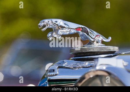 Jaguar, hood ornament, Oldtimer Ralley 2008 Wiesbaden, Hesse, Germany, Europe Banque D'Images