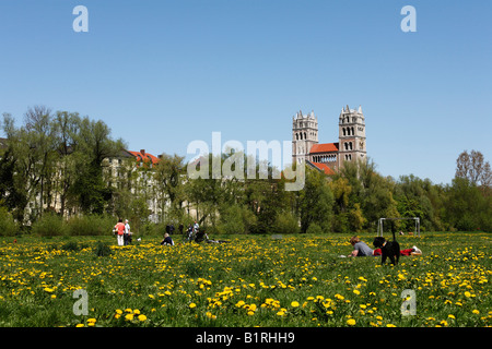 La floraison pissenlit (Taraxacum) Prairie couvrant la rivière de l'Isar River en face de la cathédrale de Maximilien, Munich, Ba Banque D'Images