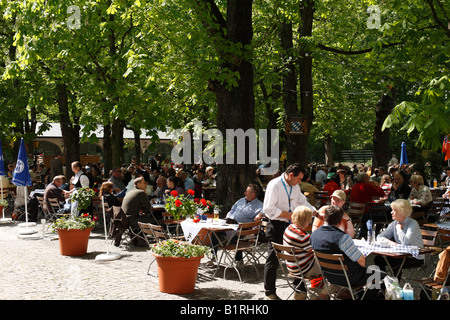 Hofbraeukeller beer garden sur Wiener Platz, la place de Vienne, Munich-Haidhausen, Upper Bavaria, Germany, Europe Banque D'Images