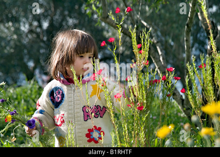 Young Girl picking fleurs sauvages Banque D'Images