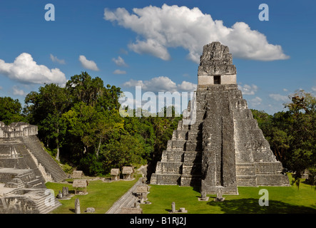 Ruines mayas, Tikal, vue du Temple I, Yucatan, Guatemala, Amérique centrale Banque D'Images