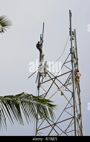 Les travailleurs qui construisent des échafaudages, construction d'un mât radio pour lignes téléphoniques, pratiquement pas de mesures de sécurité, l'île de Lombok, à moins Banque D'Images