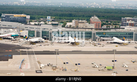 Des avions dans des postes de stationnement au terminal, l'aéroport de Francfort, Francfort, Hesse, Germany, Europe Banque D'Images