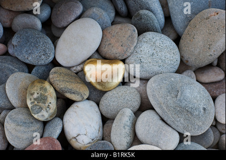 Forme de coeur d'or entre les galets galets sur une plage. Plage de Findhorn, Moray, Ecosse Banque D'Images