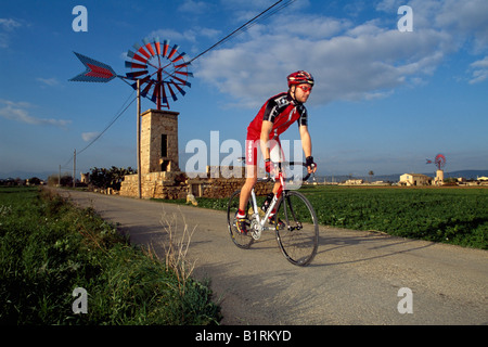 Vélo de course sur route, Llucmajor, Majorque, Espagne Banque D'Images