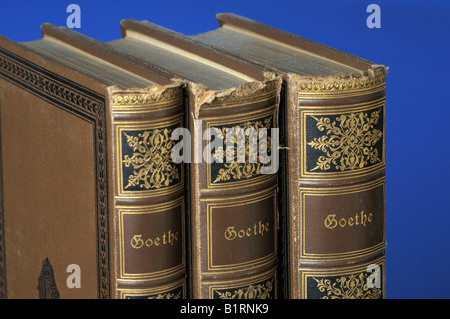 Vieux livres, volumes Goethe Banque D'Images