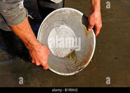 Chercheur d'or pour gagner la médaille d'or de sable de lavage, orpaillage, Klondike, Dawson City, Yukon Territory, Canada Banque D'Images