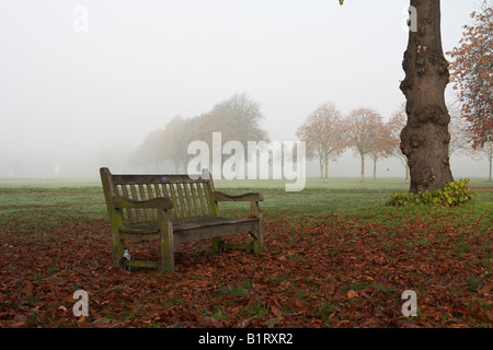 Un banc sur Ham Common Banque D'Images