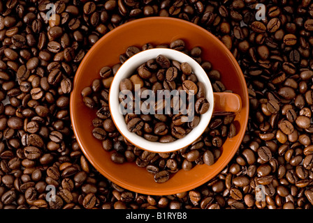 Espresso cup remplis de grains de café Banque D'Images