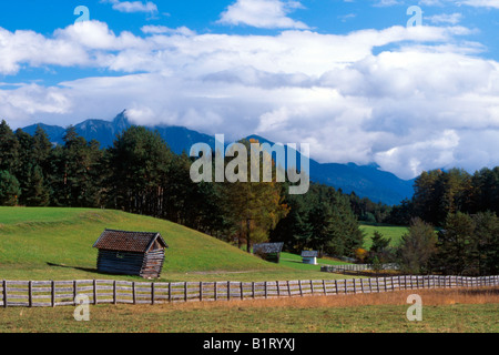Paysage cultivé, Mieminger Plateau, Tyrol, Autriche, Europe Banque D'Images