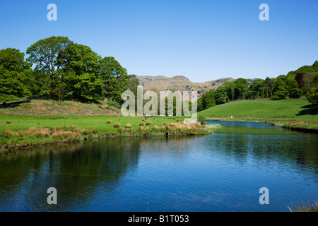 Au début du printemps de l'eau Elter Couleurs en mai sur les arbres autour de la forêt de la rive des lacs, 'le Lake District' Cumbria England UK Banque D'Images