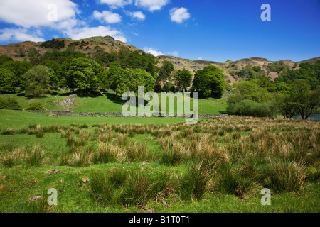 Les Fells Loughrigg au printemps en mai vu de Loughrigg Tarn, le "Lake District" Cumbria England UK Banque D'Images