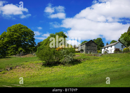 Loughrigg Tarn Au printemps Lakeland traditionnel cottages autour du Tarn, le "Lake District" Cumbria England UK Banque D'Images