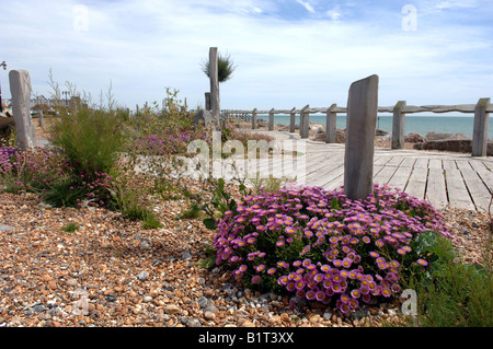 Le jardin de style méditerranéen Waterwise sur Worthing Beach UK Banque D'Images