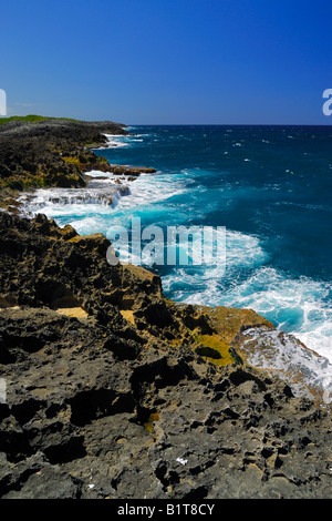 La côte rugueuse à Punta Marchiquita près de la petite ville de Los Molinos sur la côte du nord près de Manati, Puerto Rico Banque D'Images