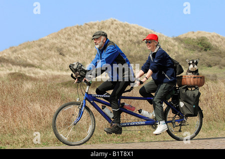 La femme et l'homme sur un tandem avec un schnauzer nain dans un panier Banque D'Images