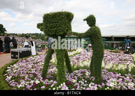 Un caméraman taillée dans une haie à Wimbledon 2008 Banque D'Images