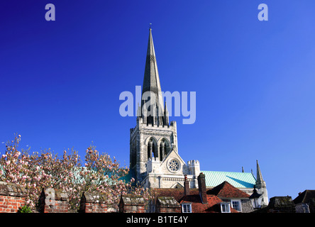 Vue sur la cathédrale de Chichester de St Richards à pied Chichester City West Sussex England Angleterre UK Banque D'Images