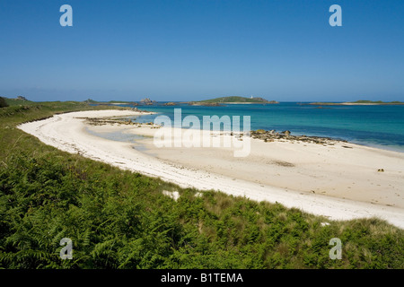 Plage de l'île de Tresco à la recherche de l'Île Ronde Penzance Cornwall England GB Grande Bretagne UK Royaume-Uni British Isles Banque D'Images