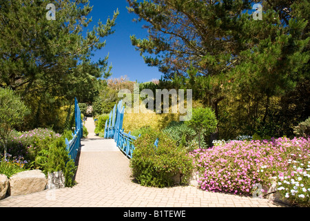 Sous l'abbaye de Tresco Jardins tropicaux en été sunshine blue bridge près de l'entrée Penzance Cornwall England UK Banque D'Images