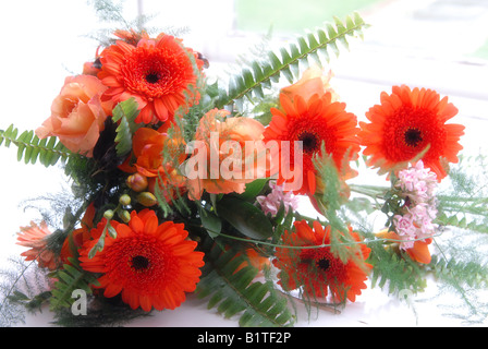 Un bouquet de gerberas orange et roses sur fond blanc. Banque D'Images