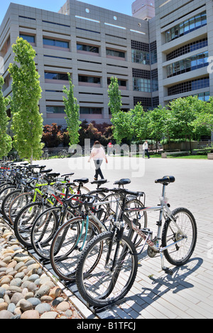Les vélos garés devant Beckman Center à l'Université de Stanford à Palo Alto en Californie Banque D'Images