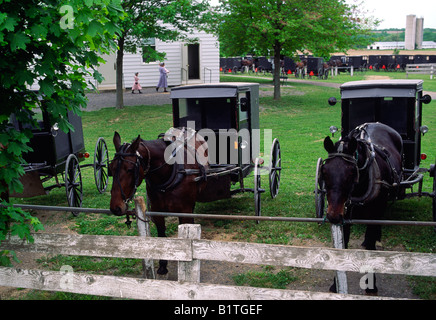 Cheval Amish et buggies parqué dans l'église pendant le service du dimanche Banque D'Images