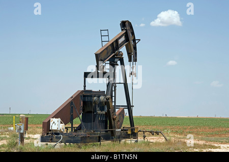 Pompe sur un champ de pétrole, dans l'enclave du Texas Banque D'Images