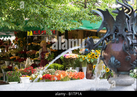 Stands de fleurs sur Solny Square Old Town Wroclaw Pologne Banque D'Images