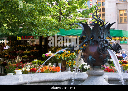 Stands de fleurs sur Solny Square Old Town Wroclaw Pologne Banque D'Images