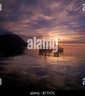 Les touristes en bateau d'observation des baleines au coucher du soleil, Husavik Islande Banque D'Images