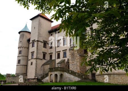 Château à Nowy Wisnicz, comté de Bochnia, Lesser Poland Voivodeship, Pologne Banque D'Images