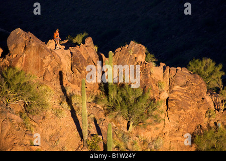 La randonnée sur la montagne Camelback Phoenix Arizona parution modèle Banque D'Images