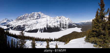 Canada Alberta Banff National Park Promenade des glaciers des montagnes Rocheuses vue sur le lac Peyto pour monter Patterson Banque D'Images