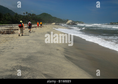 Groupe de touristes marchant sur la plage de Parc National Naturel de Tayrona, Colombie Banque D'Images