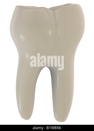 dent Banque D'Images