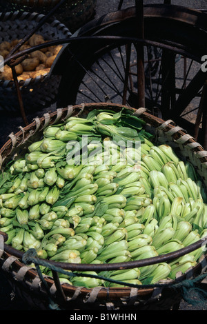 Asie Chine Shanghai Pak choi paniers en osier grand tissage circulaire panier attaché à bicyclette. Banque D'Images