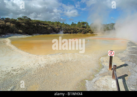 NEW ZEALAND NORTH ISLAND ROTORUA Banque D'Images